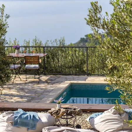 Oliva Podgora (Split-Dalmatia)