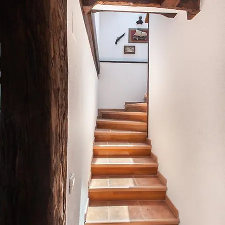 Oliva * Podgora (Split-Dalmatia)