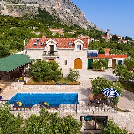 Oliva Podgora (Split-Dalmatia)