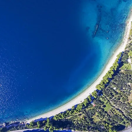 Oliva * Podgora (Split-Dalmatia)