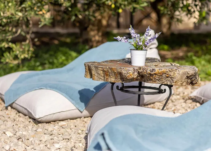 Oliva * Podgora (Split-Dalmatia)