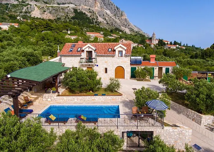 Oliva Podgora (Split-Dalmatia)