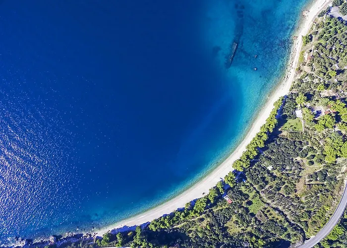 Oliva * Podgora (Split-Dalmatia)