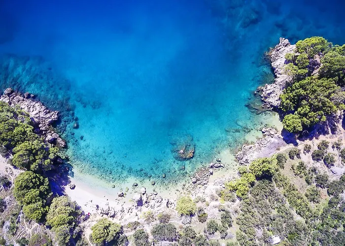 Oliva Villa Podgora (Split-Dalmatia)